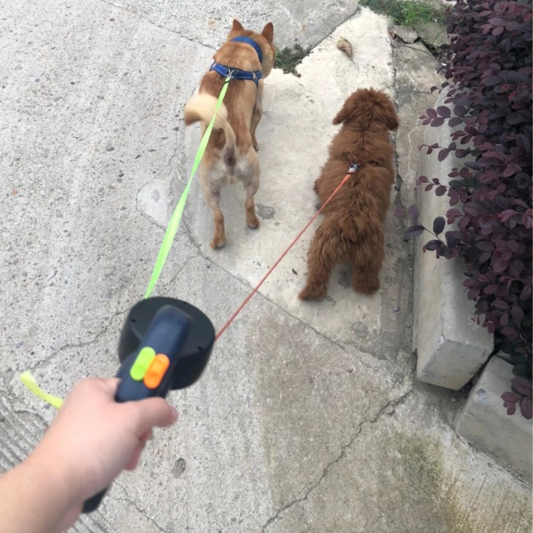 سلك مزدوج قابل للسحب للكلاب - مع مصباح LED وموزع أكياس