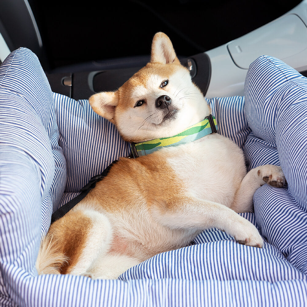 Silla de Auto para Perro – Confort y Seguridad en Viaje