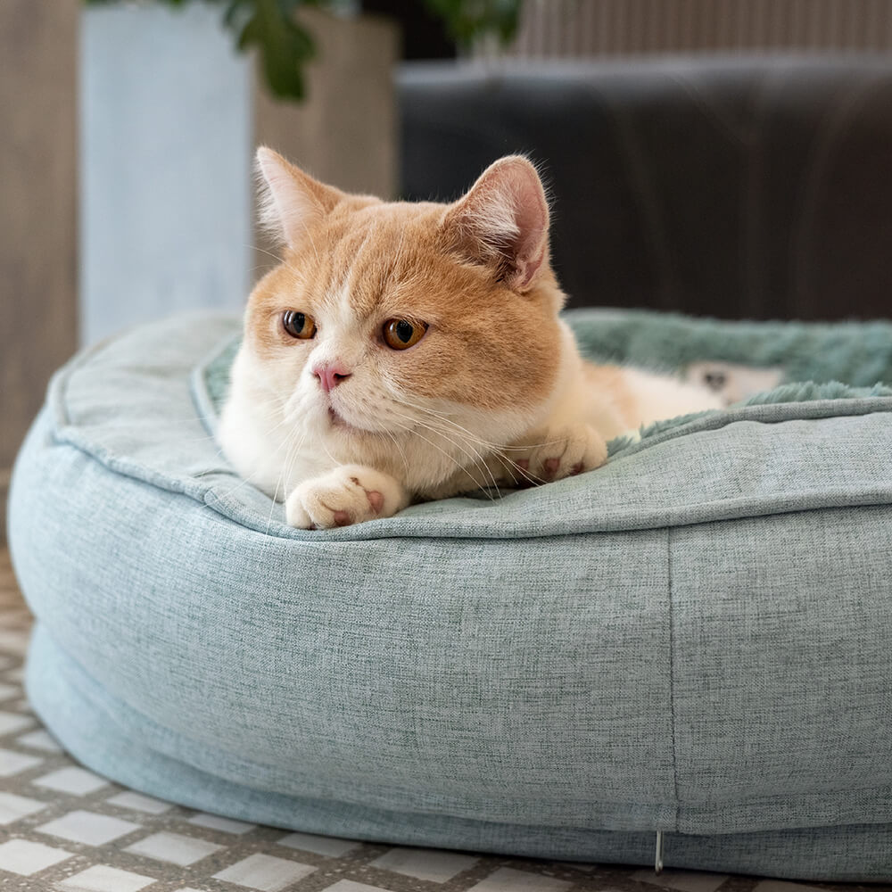 Cama em Forma de Donut para Cão – Conforto e Suavidade
