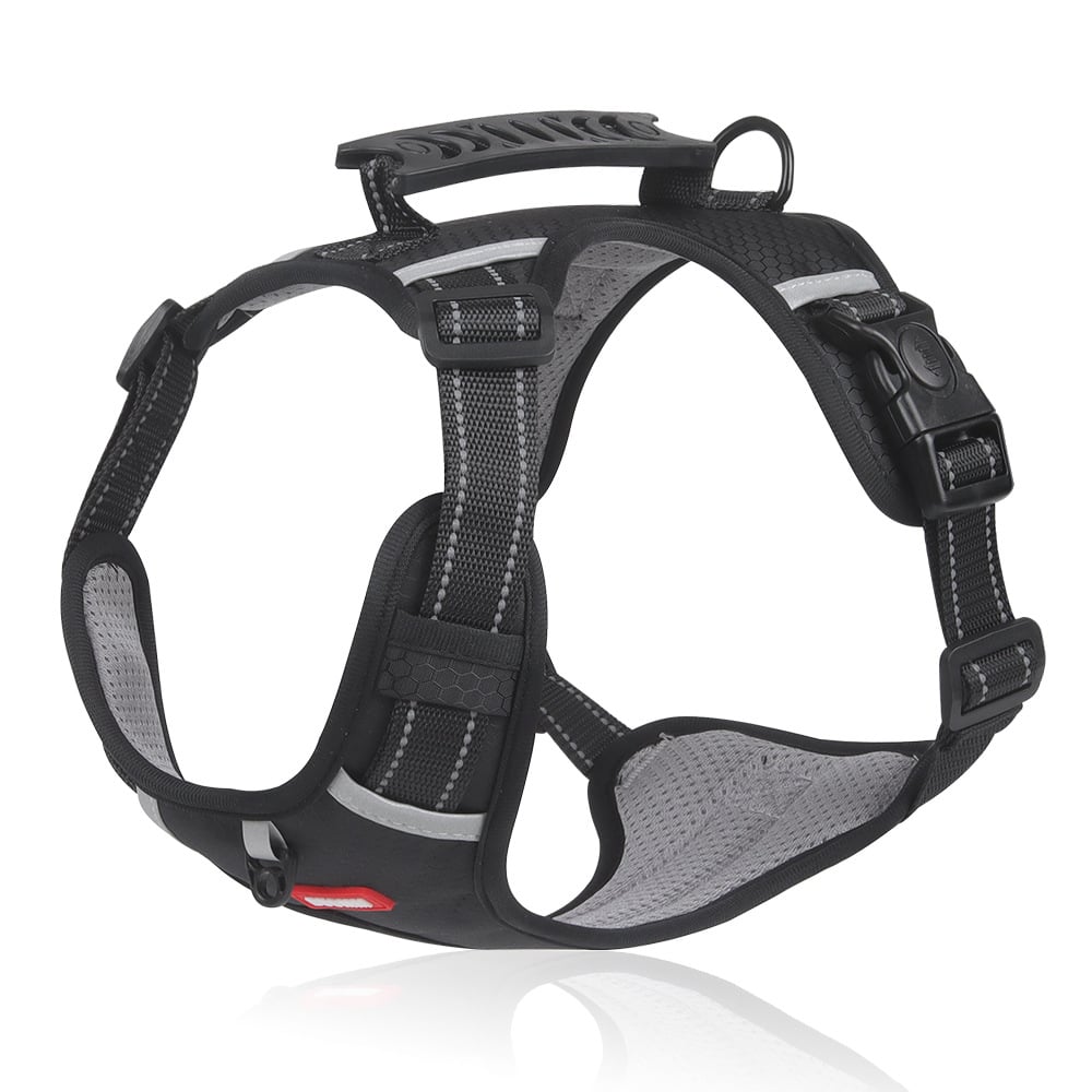 Imbracatura Riflettente Per Cani - Comfort E Sicurezza