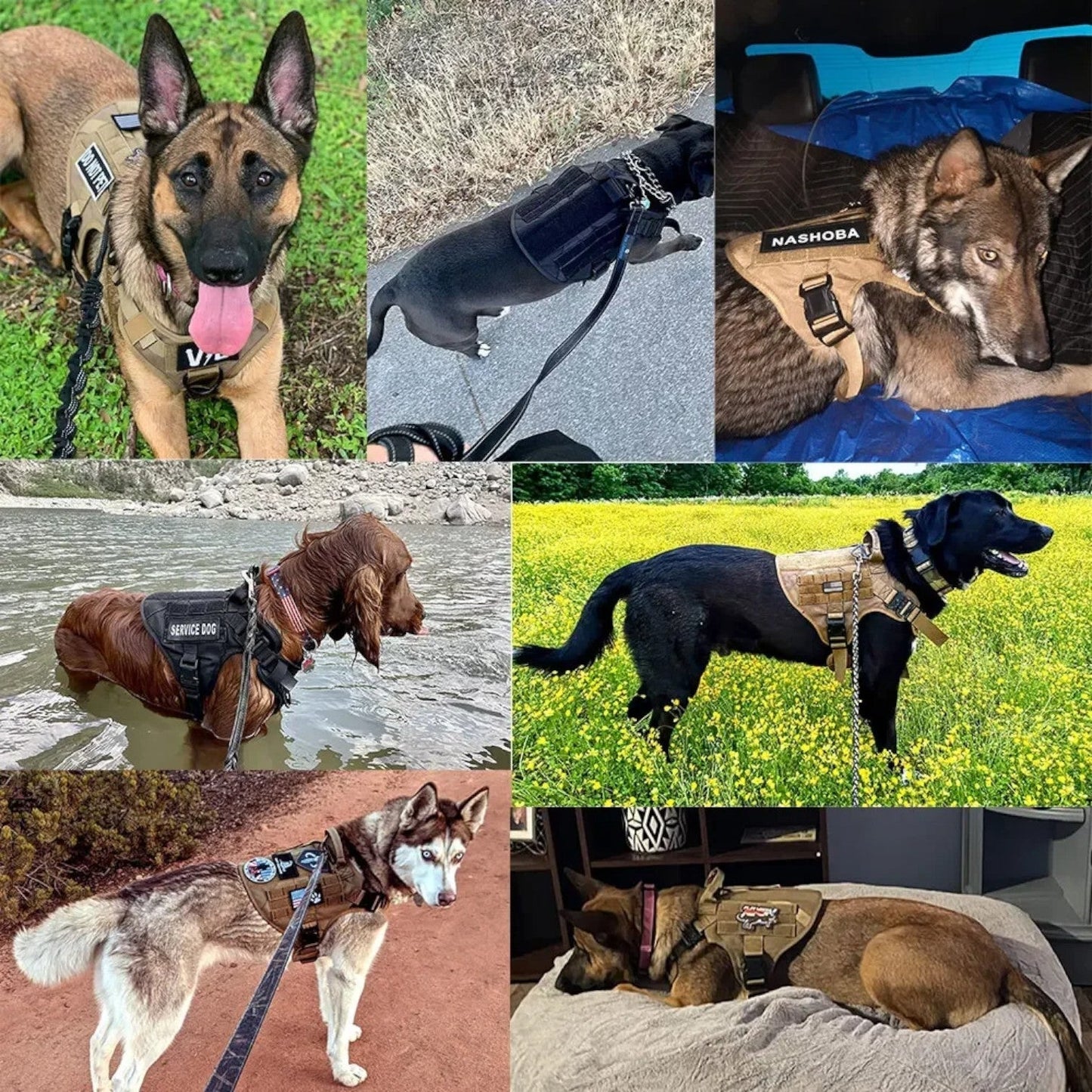 Harnais Réglable Pour Chien – Robustesse Et Contrôle
