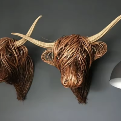 Hoved af en fletning – Naturlig vægkunst