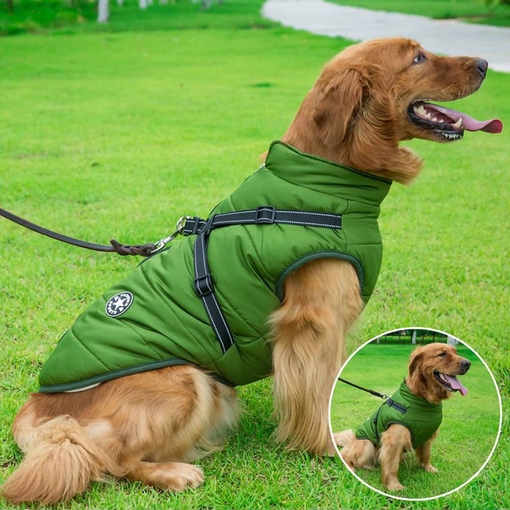 Parka Imperméable Pour Chien - Protection & Style