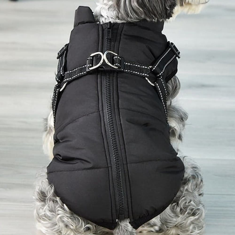Parka Imperméable Pour Chien - Protection & Style