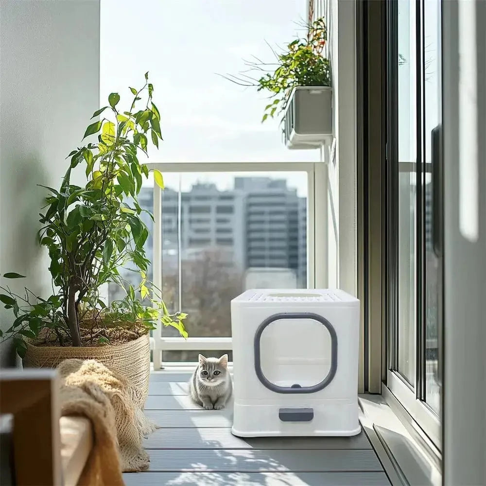 מגש חתולים נגד ריח – ניקיון ונוחות מובטחים