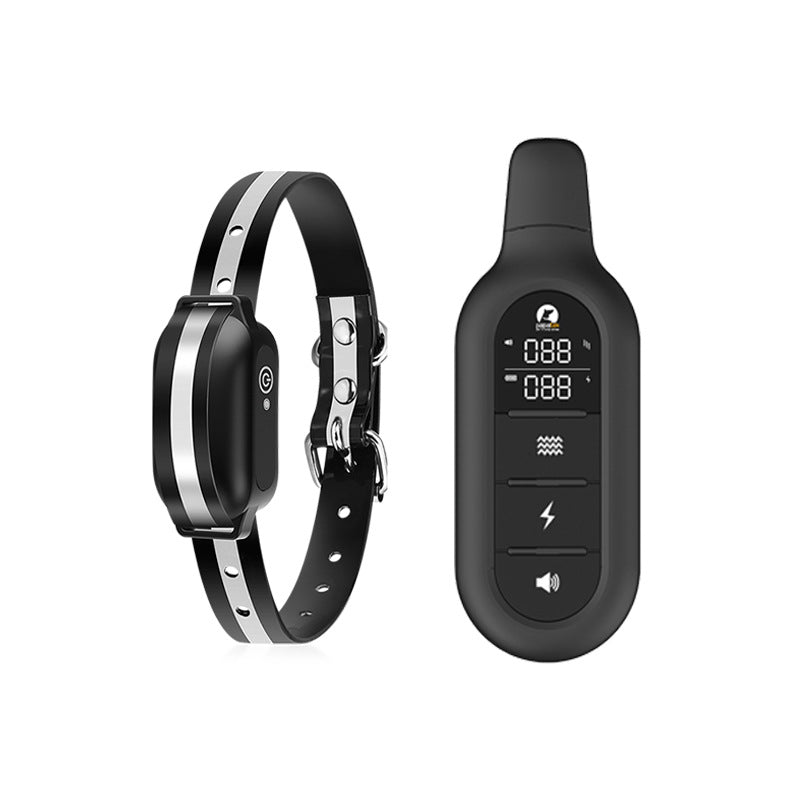 Collier De Dressage Avec Télécommande – Éducation Efficace