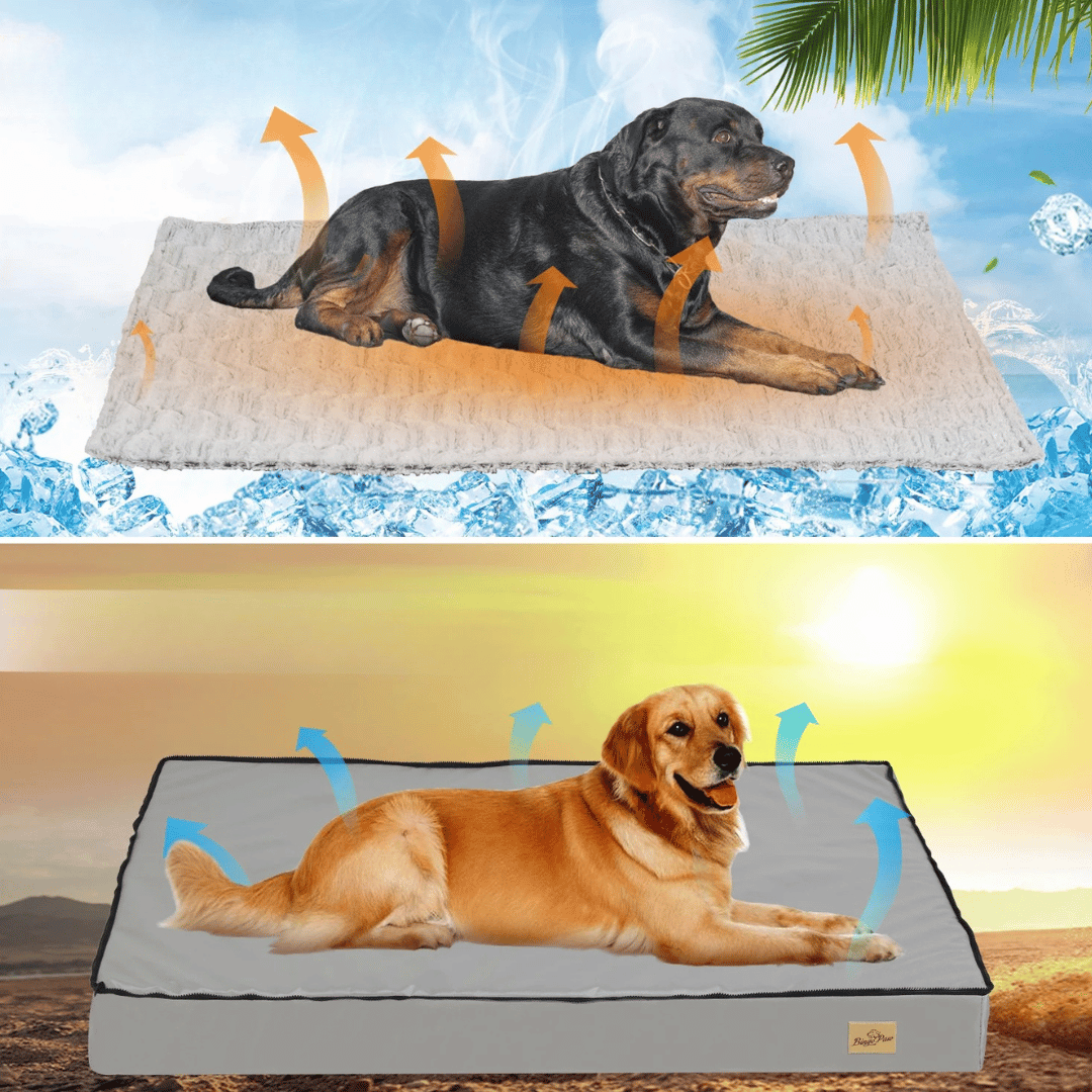 犬用快適ベッド  – 休息と回復に最適 