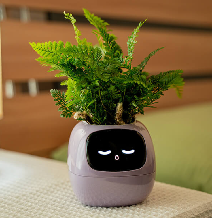 Emoji Kvetináč – Originálna a Zábavná Dekorácia 