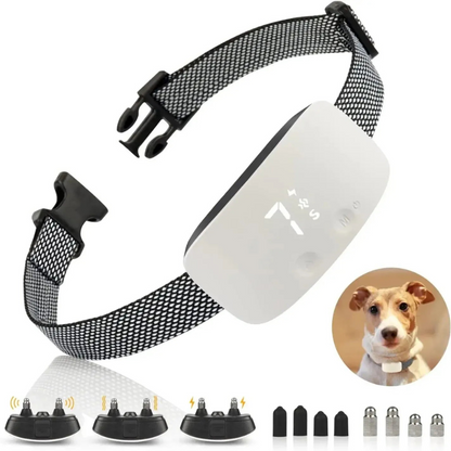 Anti-Bell-Halsband für Hunde – Wiederaufladbar und wasserdicht 