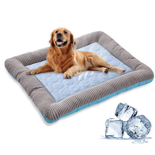 Coussin Rafraîchissant Pour Chien – Fraîcheur Et Confort En Été
