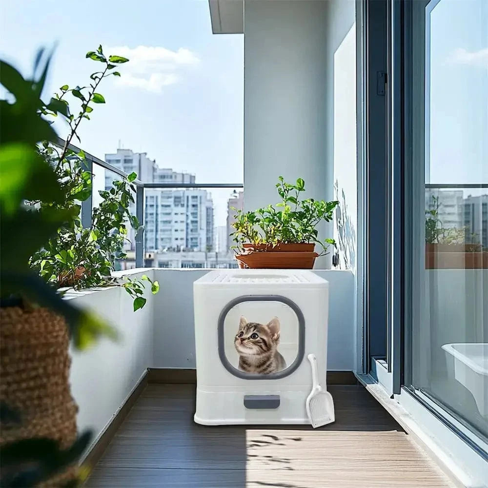 Macskaalom Szagellenes – Tisztaság és Kényelem Garantálva 