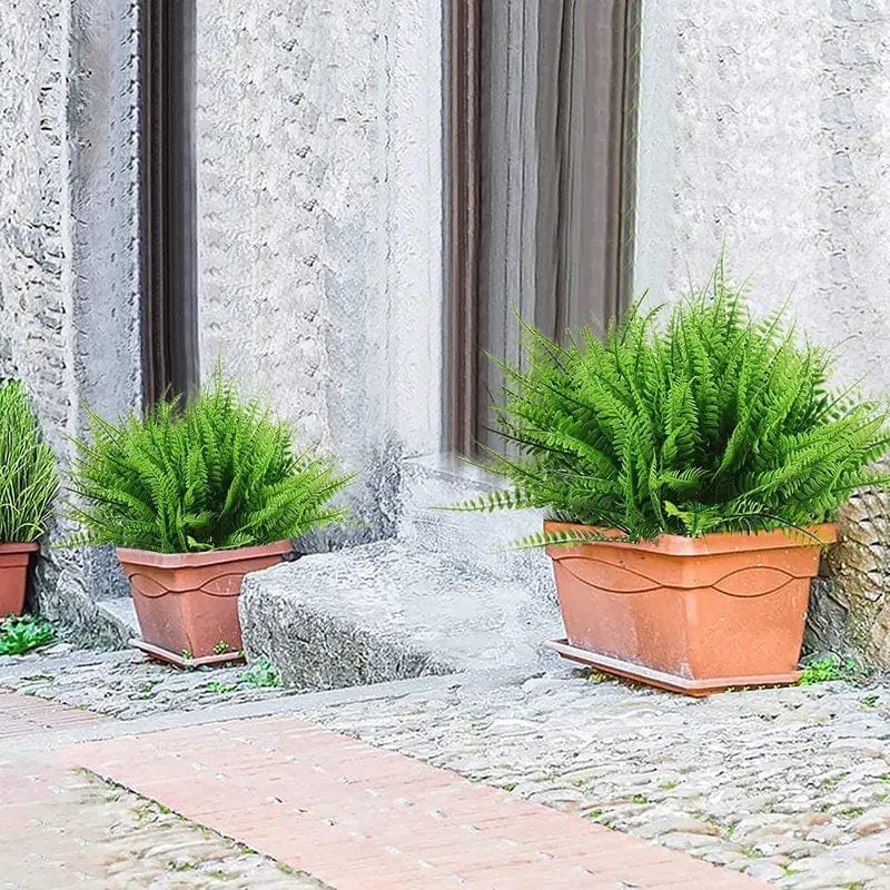 Művirágos Páfránycsokrok – Természetes és Tartós Hatás 