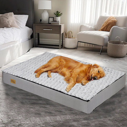 Lit Confort Pour Chien  – Idéal Pour Le Repos Et La Récupération