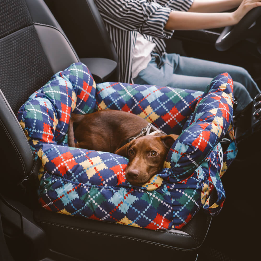 Bilsete for hund – Komfort og sikkerhet på reise 