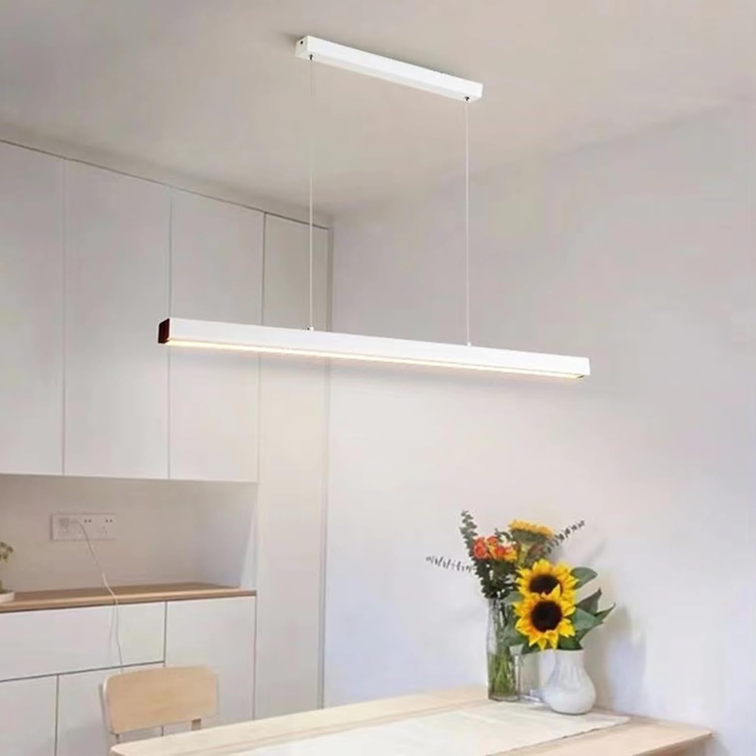 Modern Light Suspension 