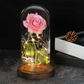 Flor Eterna Bajo Campana LED – Encanto Poético y Luminoso 