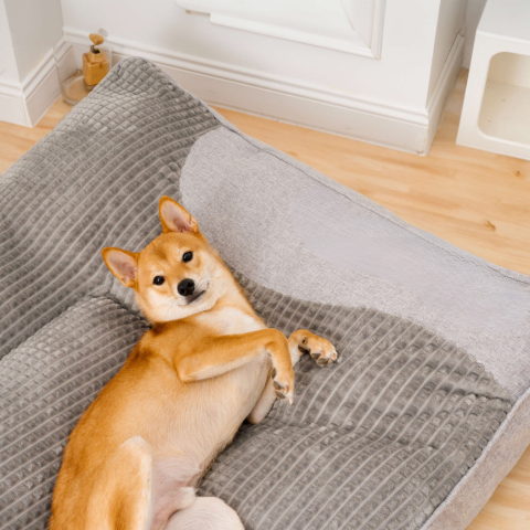 Grande Almofada para Cão – Conforto Óptimo e Apoio Macio 