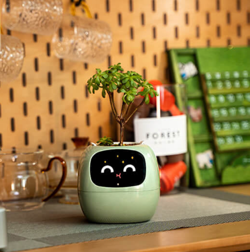 Emoji Kvetináč – Originálna a Zábavná Dekorácia 