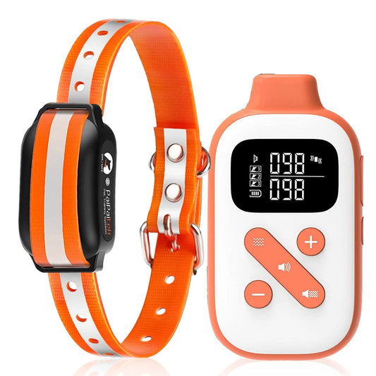 Collier De Dressage Sans Choc – Télécommande Jusqu’à 1000 m
