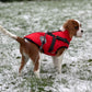 Parka Imperméable Pour Chien - Protection & Style
