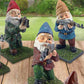 Military Garden Gnome – Touch of Humor and External Defense 